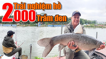 Câu cá trắm đen Trung Quốc khác gì ở Việt Nam