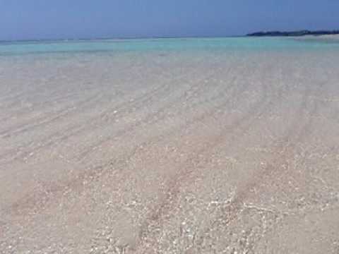 �S�����l�̕��ɂȂт��g�ƍ�