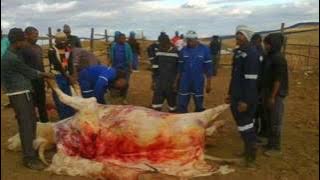 Shushu baby- sibiziwe kwa bhaca