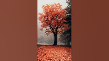 سورة الغاشية #اسلام_صبحي #راحة_نفسية #تلاوة_خاشعة