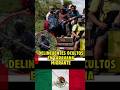 Delincuentes ocultos en caravana migrante #mexico
