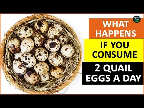 Video: Quail Eggs, How Many Quail And Chicken Eggs To Eat Per Day
