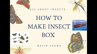How To Make An Insect Box  All about insects