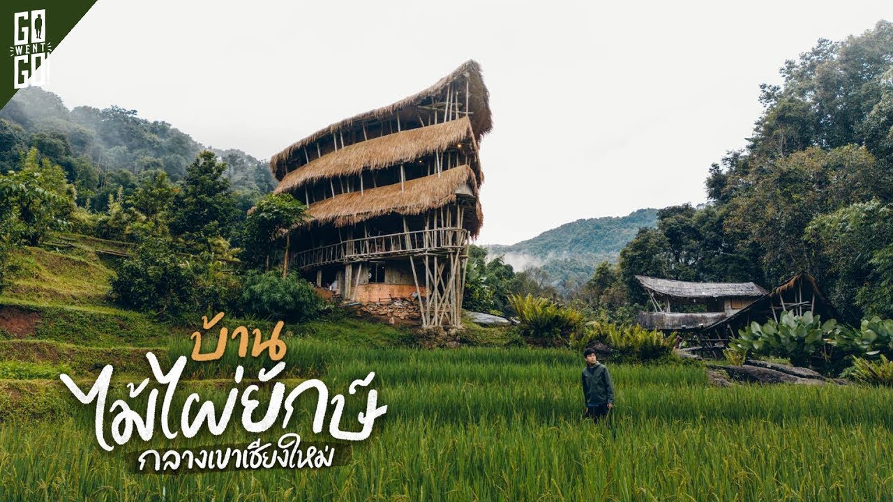 โฮมสเตย์​ ไม้ไผ่ยักษ์​กลางหุบเขา​ แม่กลางหลวง​ เชียงใหม่​ | VLOG​ | Gowentgo