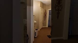Old Mill Bed & Breakfast Cumberland Gap TN 10/2020