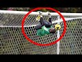 Best goalkeeper save in the world f sports