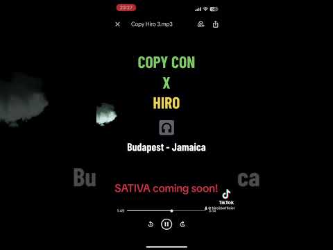 Hiro feat. Copy Con - Sativa