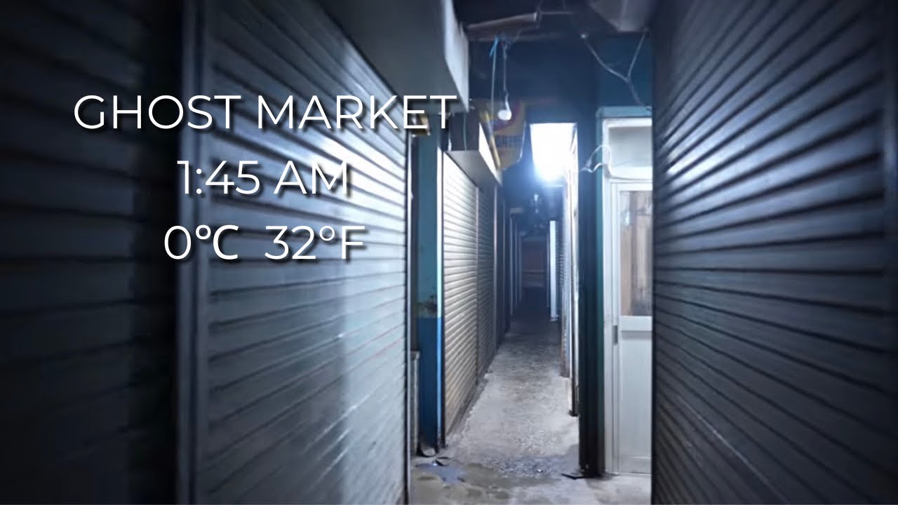 Midnight Deep Japan : Ghost Market in Hakodate (1:45 AM) | Hokkaido [4K] | Quiet Walk #028