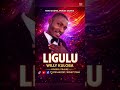 Willy Kuloba Ligulu