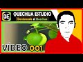 DOMINANDO EL QUECHUA vídeo 001