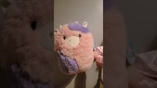 squishmallows most expensive item in our collection