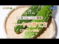 ゴーヤの育て方 【プランター栽培】コーナン