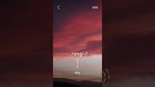 Learning Māori - Unique Kupu App Translates Images into the Māori Language