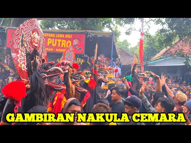 Rampak Barong Jaranan Wijoyo Putro Live Wonojoyo Gurah Kediri class=