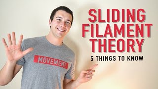 Sliding Filament Theory | 5 Things You Need to Know + Pop Quiz