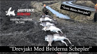 "Drevjakt Med Bröderna Schepler" (Årets Bästa Drevjakt. Micke skjuter 7 Dovhjortar)