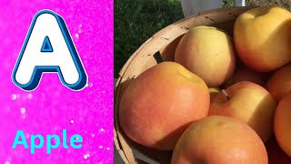 ABC Phonics Song | Alphabet letter sounds | ABC learning for toddlers | Education ABC Nursery Rhymes