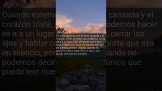frases bonitas