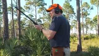 Kyle lamb hunts quail with j&r outfitters in florida. viking tactics
website: http://www.vikingtactics.com