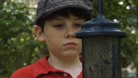 Module 3 Activity: Four Clip Edit