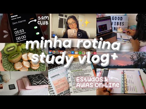 rotina da manhã