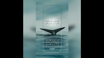 حالة واتس بصوت إسلام صبحي 🌸من سورة الأنبياء 💖