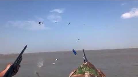 Slow motion duck hunting Full HD