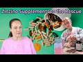 Zinzino Supplements to the Rescue? #antimlm #zinzino #itworks