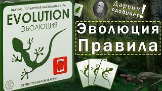 Как играть в настольную игру Эволюция?