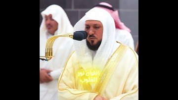 تلاوة من الزمن الجميل للشيخ ماهر المعيقلي ﴿قُلۡ إِن كُنتُمۡ تُحِبُّونَ ٱللَّهَ﴾ #القران_نور_القلوب