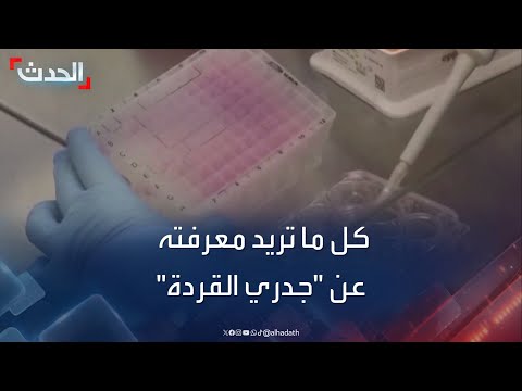 ينتقل من الحيوانات إلى البشر كل ما تريد معرفته عن جدري القردة