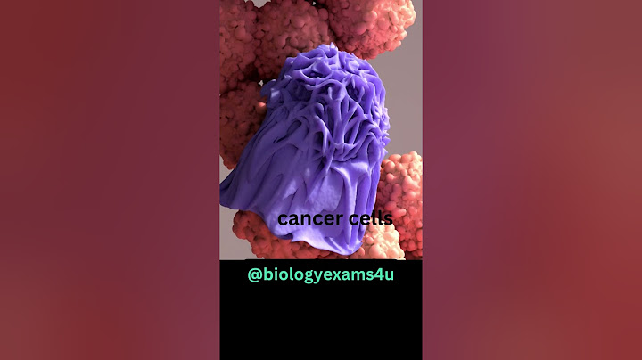 Macrophage eating Cancer Cell 3D Animation | Phagocytosis | Immunology @biologyexams4u
