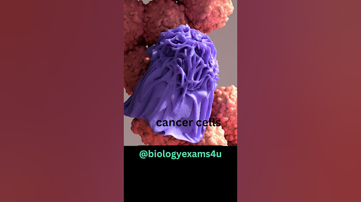 Macrophage eating Cancer Cell 3D Animation | Phagocytosis | Immunology @biologyexams4u