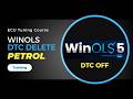 How to Remove Fault Codes with WinOLS (Petrol ECU Remapping Course  for DTC Off )