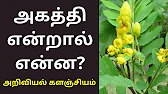 TAMIL ASURAN - தமிழ் அசுரன்