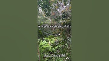 إن الله وملائكته يصلون على النبي | القارئ: بندر بليلة