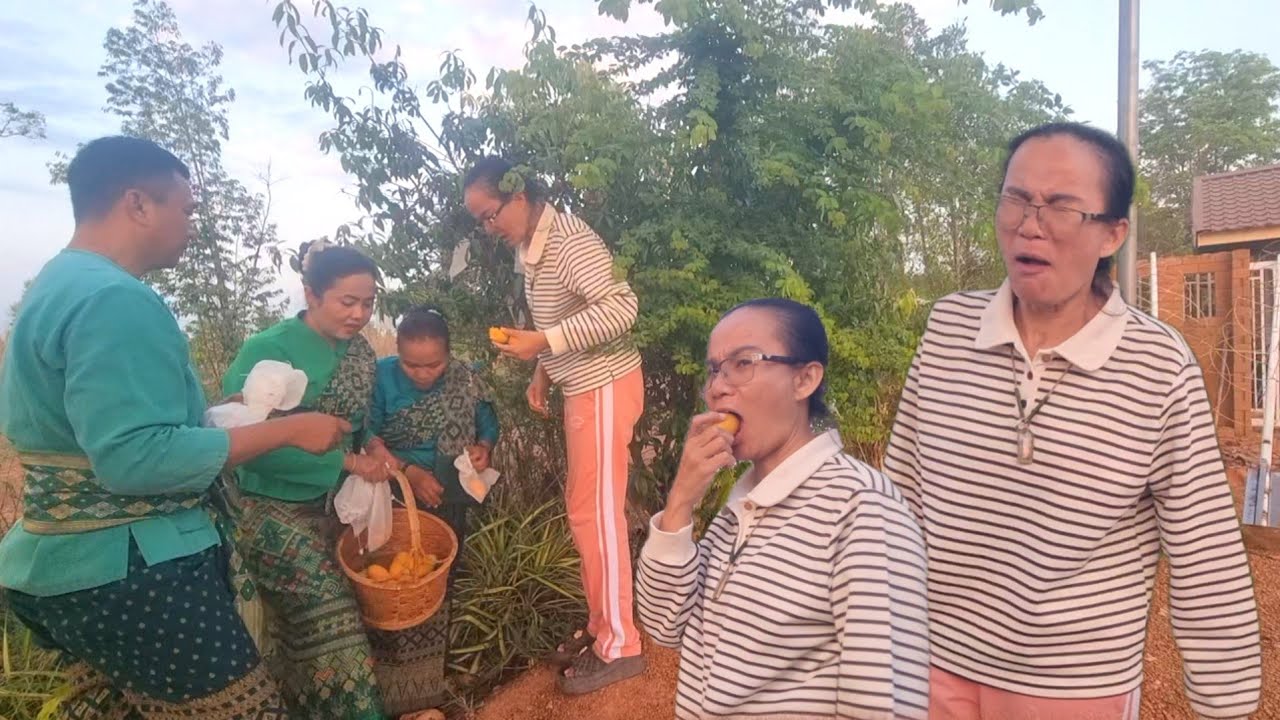 ป้าเเต๋นเก็บมะยงชิดไหว้ปู่มาลุ้นกันจะหวานหรือเปรี้ยว,?สุดฮาหน้าแต่ละคนชิม5555