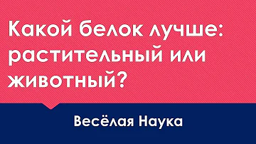 КАКОЙ БЕЛОК ЛУЧШЕ: РАСТИТЕЛЬНЫЙ ИЛИ ЖИВОТНЫЙ?