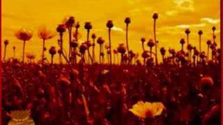 Video thumbnail of "Opium - Marcy Playground"