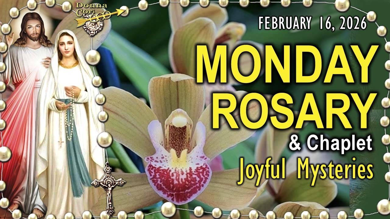 MONDAY Rosary Today & Chaplet | JOYFUL Mysteries Holy Rosary Catholic Prayer, Orchids