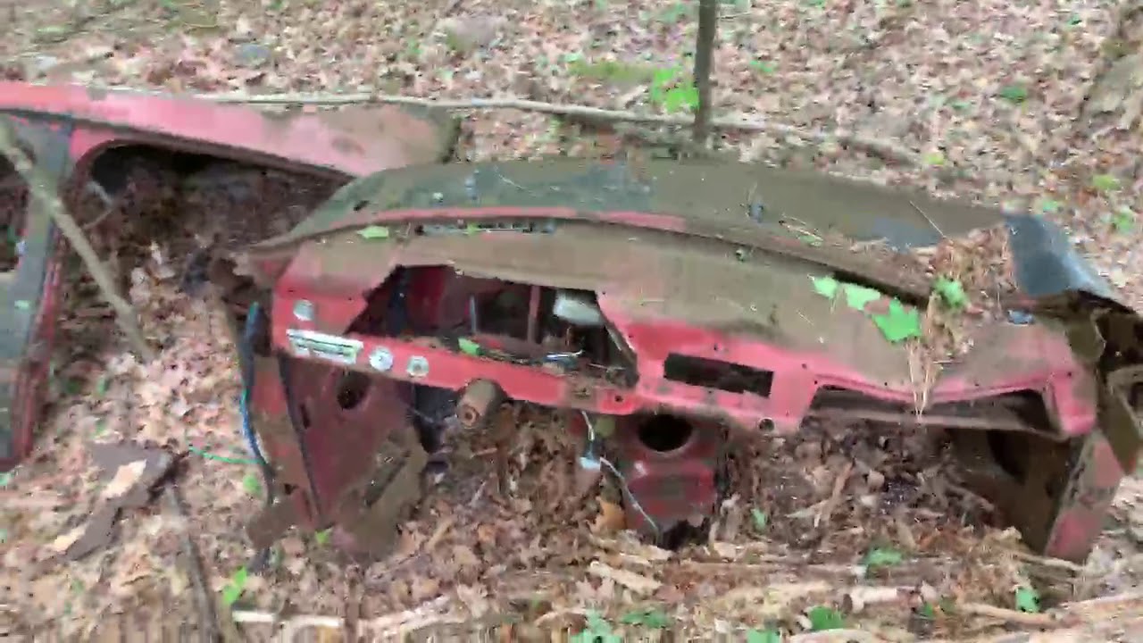 Old rusted cars found in the forest