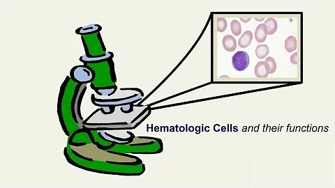 Hematologic Cells and Their Functions
