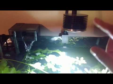 LED Aquarium Light Freshwater Planted Tank Asta 20