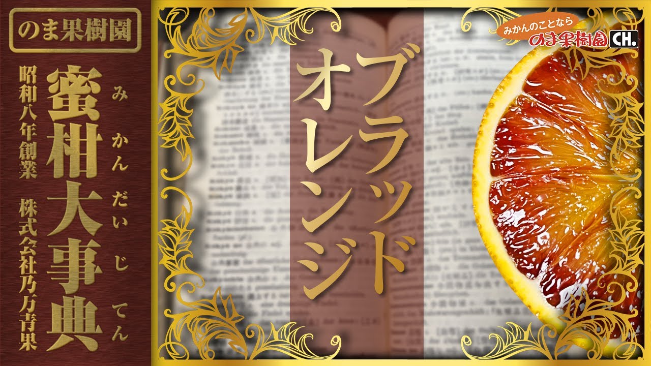 66⭐︎黒点ありせとかS玉12キロ※2枚目要確認！ブラッドオマケ付。キロ数変更可能 転換期間中 ブラッドオレンジ【2．5kg】