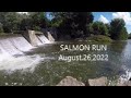 Salmon season august262022