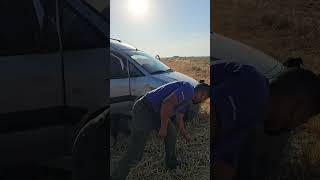 عيش راجل الله يسمح لينا من الوالدين