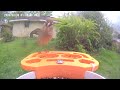 Bird 🐦 Video afternoon today 