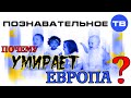 Почему умирает Европа? (Познавательное ТВ, Михаил Величко)