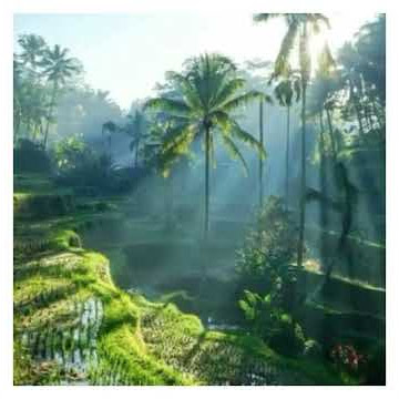 story wa seruling kecapi sunda