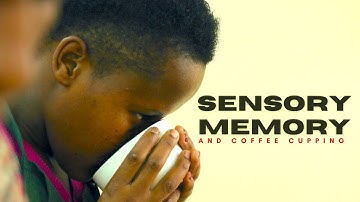 SENSORY MEMORY & COFFEE CUPPING #coffee #sensory #memory